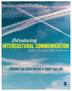 USED-Introducing Intercultural Communication: Global Cultures and Contexts by Liu, Shuang (Paperback)