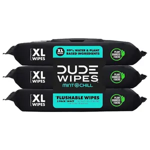 DUDE Wipes - Toilet Flushable Wipes - 3 Pack, 144 Wipes - Mint Chill Extra-Large Adult Wet Wipes - Vitamin-E, Aloe, - Septic and Sewer Safe