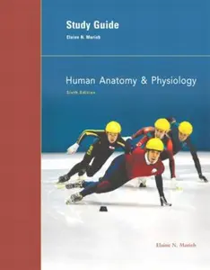 USED-Study Guide: Human Anatomy & Physiology by Elaine Nicpon Marieb (Paperback)