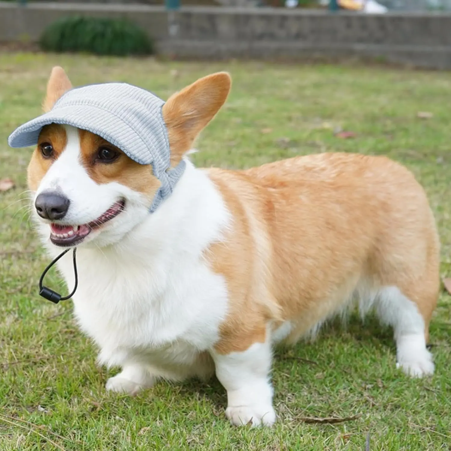 Adjustable Pet Baseball Cap - Ear Holes Design for Dogs & Cats