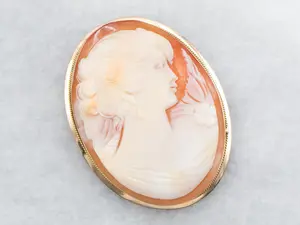 Vintage Cameo Brooch or Pendant