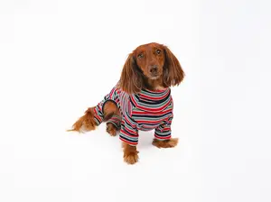 Midnight Stripe Dog Onesie Sweater, Cozy Stretchy Jumpsuit for Small Dogs