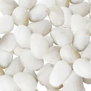 White River Rocks, 2-3 Inch Natural Pebbles for Indoor Plants, High Polished Decorative Stones Vase Filler Fish Tank Aquariums Landscaping Garden Outdoor and Indoor DIY