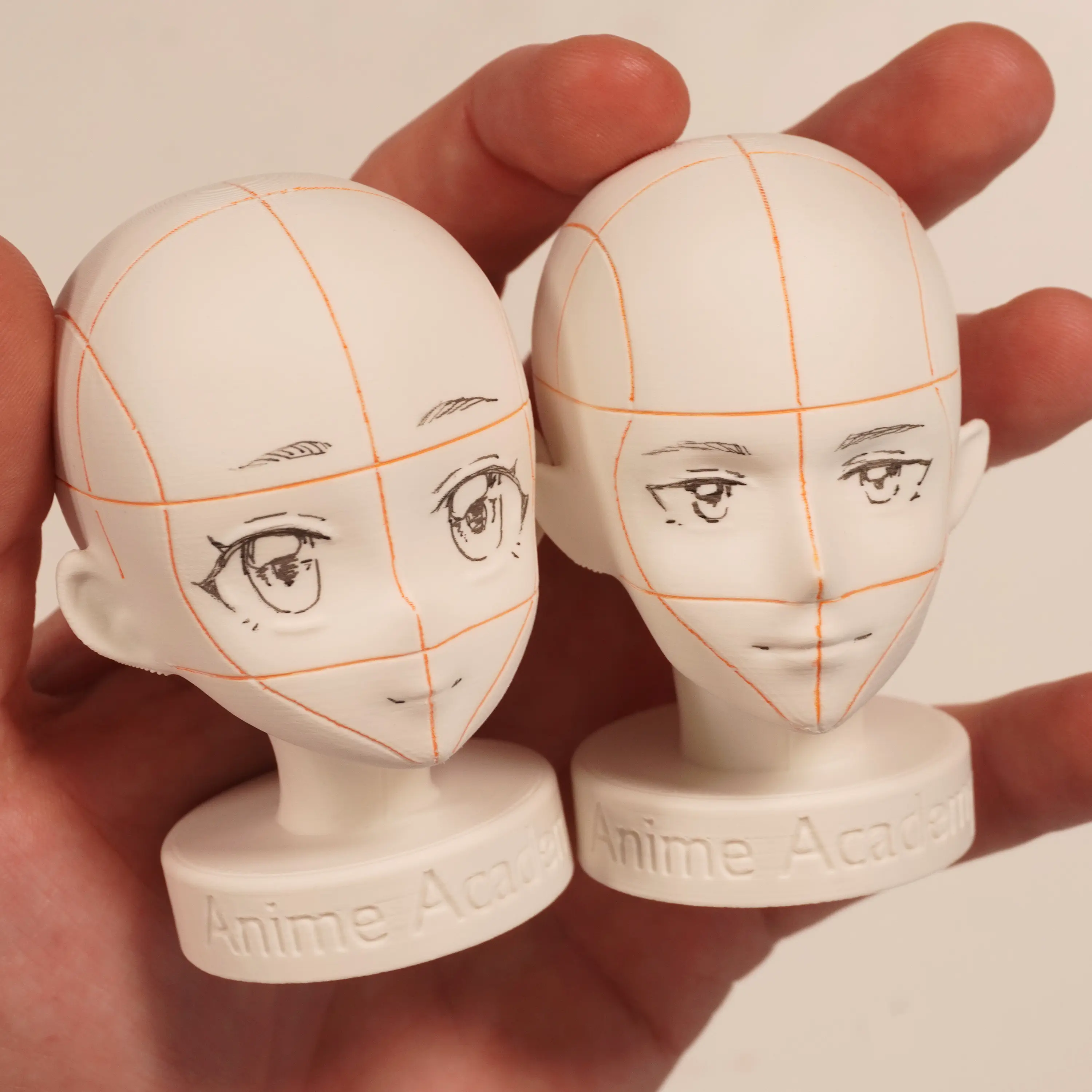 Anime Academy - Anime Head Reference Models Set of 2 Detailed Heads for Artistic Development and Design