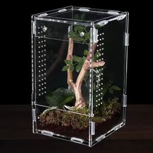 Acrylic Turtle Habitat and Insect Eco Bottle, Insect Cage for Small Pets, Perfect Mantis & Frog Habitat for Reptile Lovers