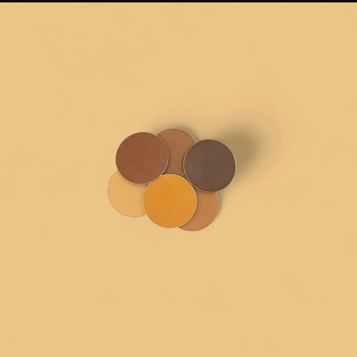 The Basic Bronzer Complexion Makeup Pallet