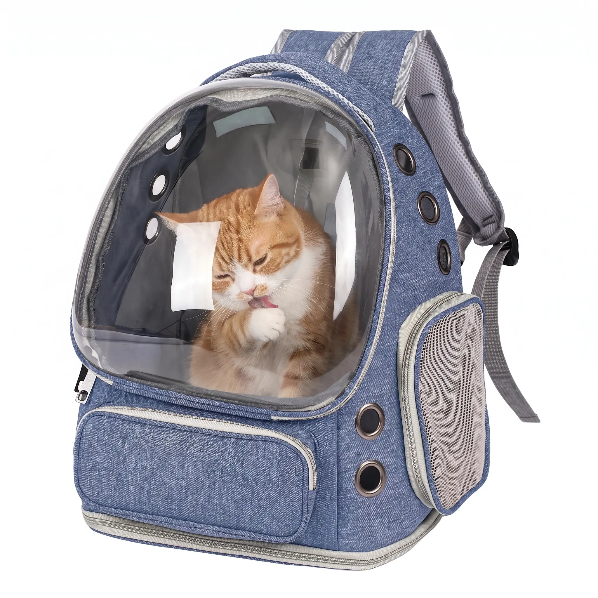 Airline Approved Transparent Space Capsule Puppy Carrier Backpack - Hands-Free Outdoor Animal Carrier, Soft Fabric Cushion, Ventilation, Shockproof, Stress-Free for Cats, Pet Travel & Hiking