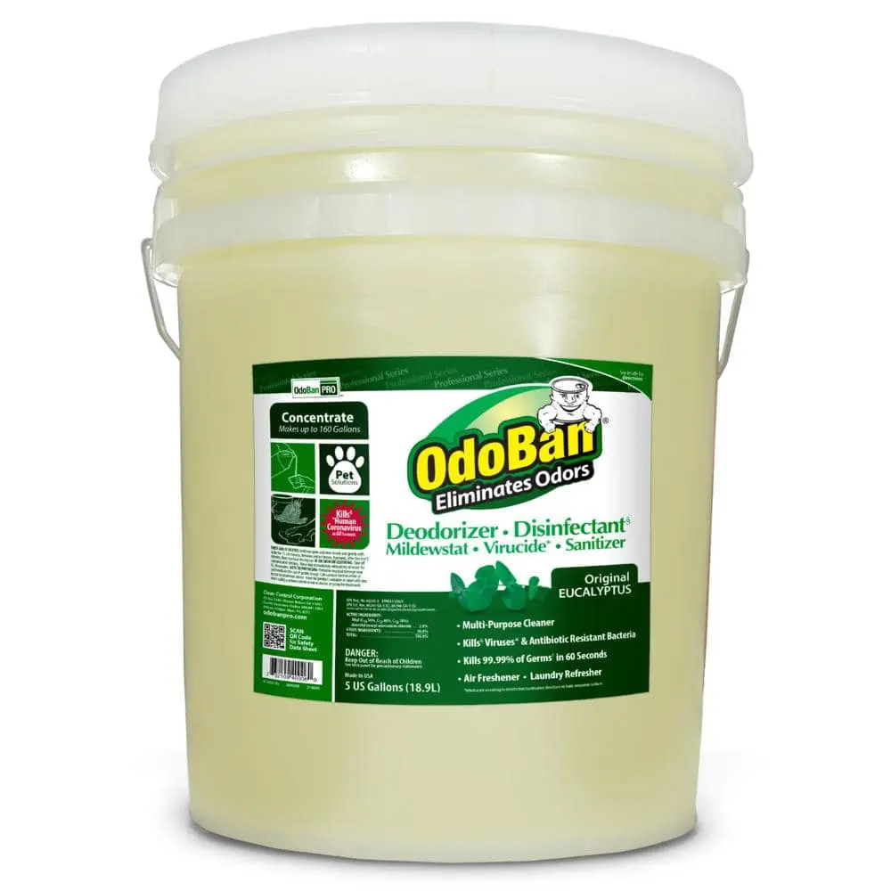 Professional Series 5 Gal. Eucalyptus Disinfectant and Odor Eliminator, Mold Control, Multi-Purpose Cleaner Concentrate