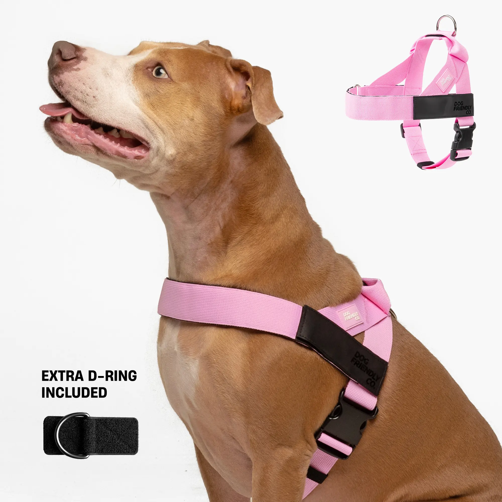 No Pull Dog Harness & D-Ring Bundle Pack, Harness Set with Leash Control - Dog Friendly CO