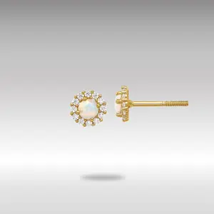 14K Gold Polished CZ and Created Opal Circle Screwback Post Earrings - Model YE2134