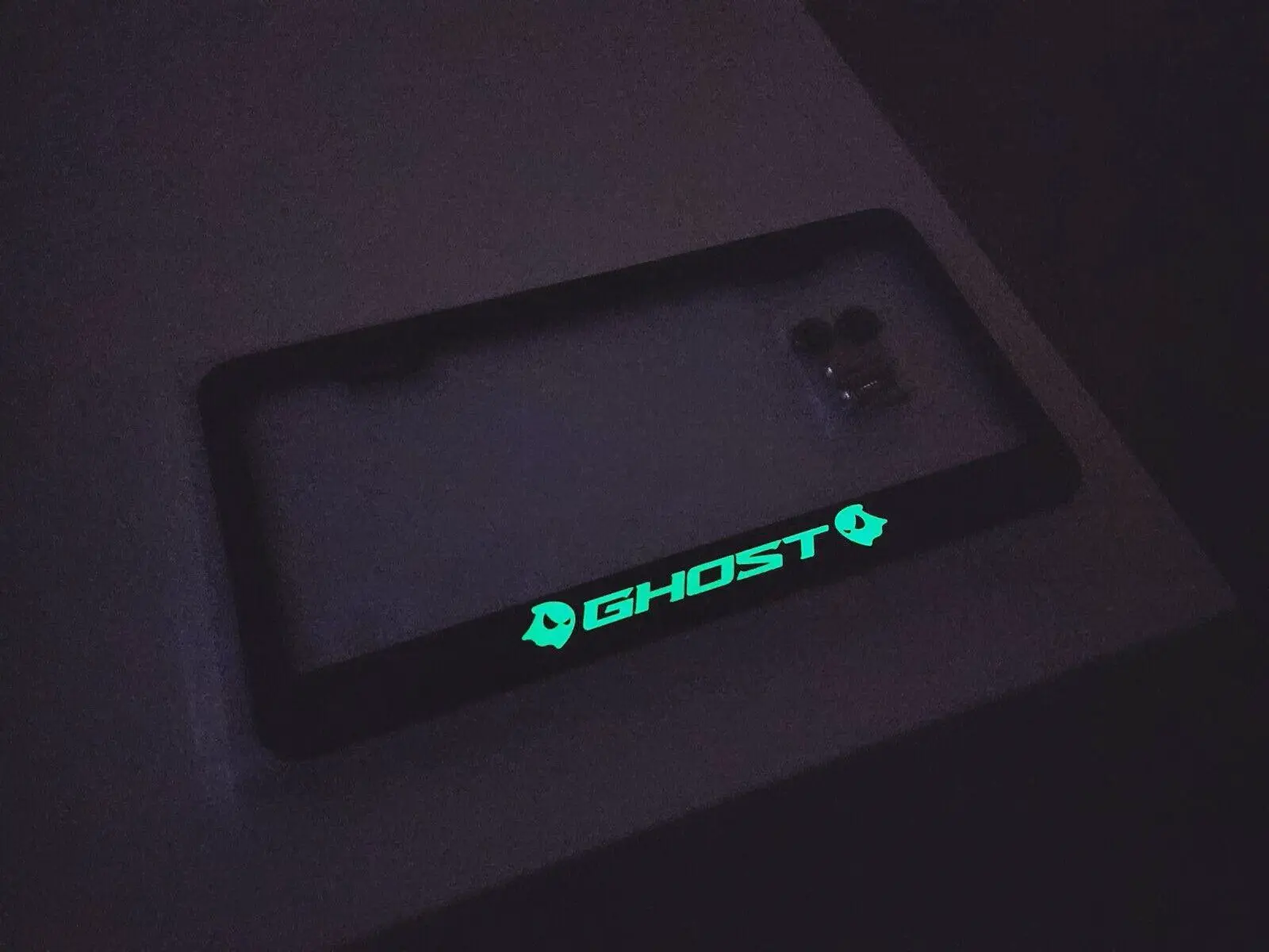 Glowing Ghost Stainless Steel License Plate Frame Holder Street Racing