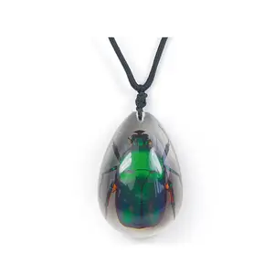 Clear Pendant Necklace with Real Green Rose Chafer Beetle