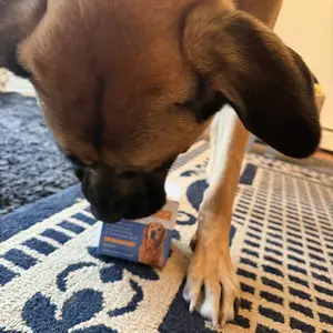 HAPWAG 8-in-1 Multivitamin Soft chews for Dogs- Probiotics, Gut & lmmune Suppor - Chicken Flavor - 90 Treats