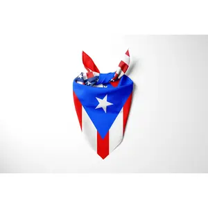 Puerto Rican-American flag bandana