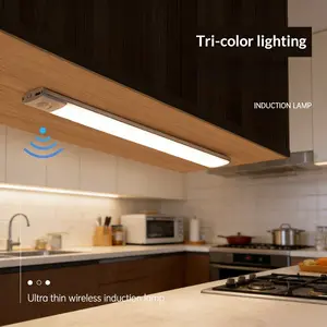 2 Packs Rechargeable LED Under Cabinet Lights 7.87 Inches Rechargeable Motion Sensor Light Indoor 3 Color Dimmable Closet Light Battery Operated USB Stick on LED Magnetic Under Counter Lights for Kitchen Stair