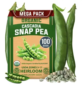 Organic Cascadia Snap Pea Seeds - 100 Non-GMO Heirloom Seeds for Cool Season Container Gardening - USDA Certified, Sweet Flavor, Fast Germination, No Trellis Needed, Sustainable & Eco-Friendly