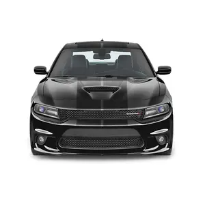 Dual 12" Racing Stripes Self Healing Vinyl fits Dodge Charger SRT 2012 to 2023