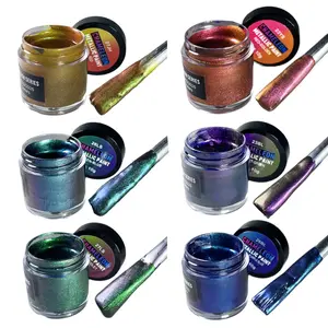 10g New Chameleon Acrylic Paint Set, High Concentration 6-Color Metallic Paint, DIY Color-Changing Paste, Affordable Small Package