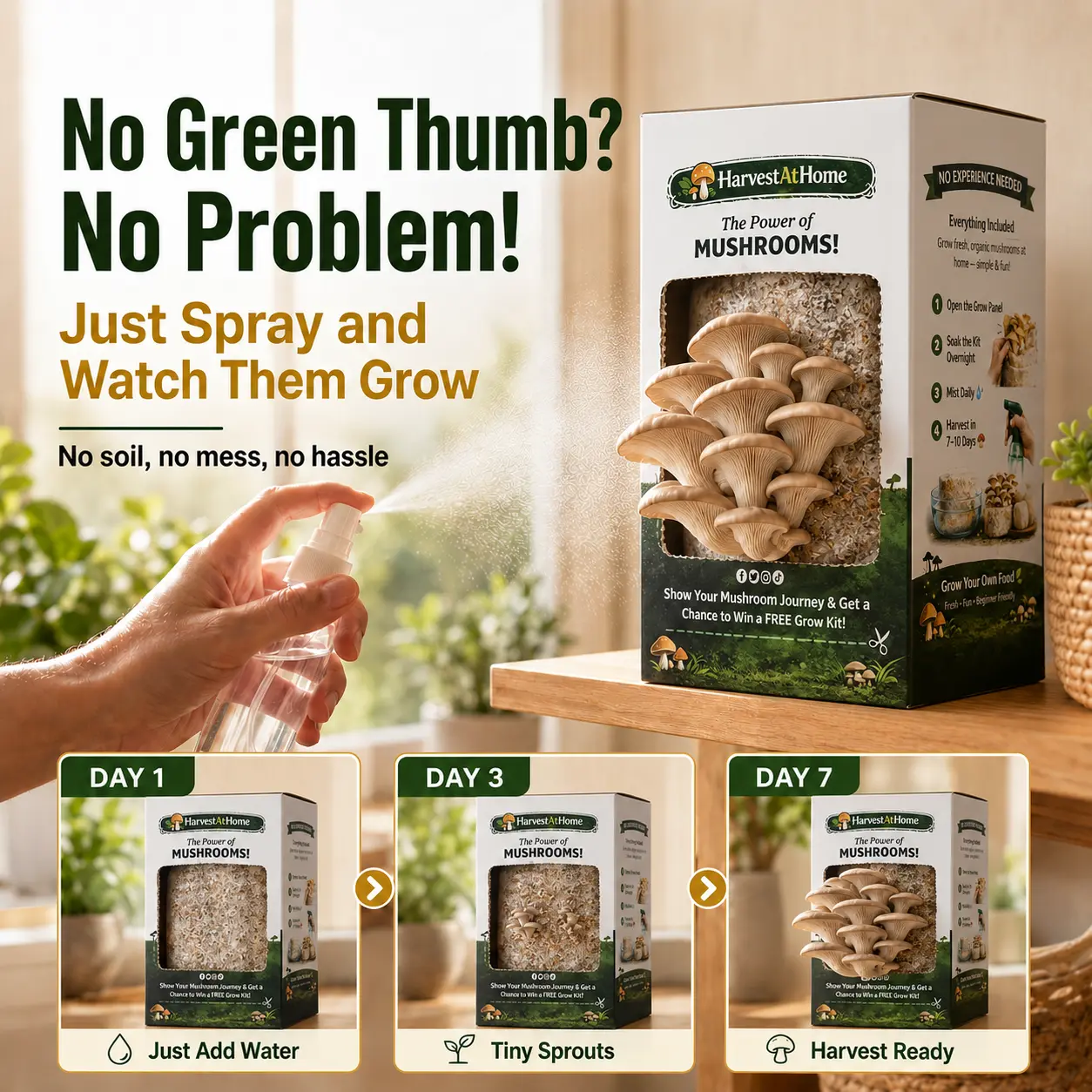 【2026 NEW】 Organic Non-GMO Oyster Mushroom Grow Kit (3.5 lb) – Gourmet All Natural Mushroom Food, 1-7 Days Harvest, Easy Indoor Growth, No Soil/Sun Needed, Multiple Harvests, Made in USA, Ideal for Home Gardeners & Kitchen Enthusiasts