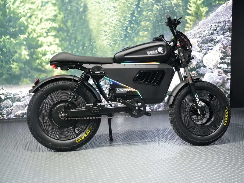 OWAY Black Warrior electric bicycle sk-1 ultra 3000W 60v 50ah High Speed Long Range 62mile high fatebike