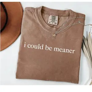 Comfort Colors I Could Be Meaner Shirt, Funny Humor Shirt, Sarcastic Shirt, Funny Quote Shirt, Sarcasm Shirt, Trendy Shirt for Women, Meme Graphic Tee, Funny Gift for Her - TrendWear USA