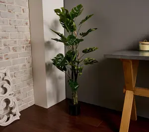 4' Monstera Potted Plant by Valerie