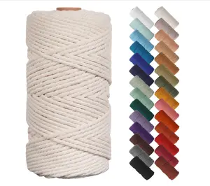 NOANTA Natural Macrame Cord 3mm x 109Yards, Beige Macrame Rope, Cotton Cord for Wall Hanging, Plant Hangers, Christmas Crafts, Knitting