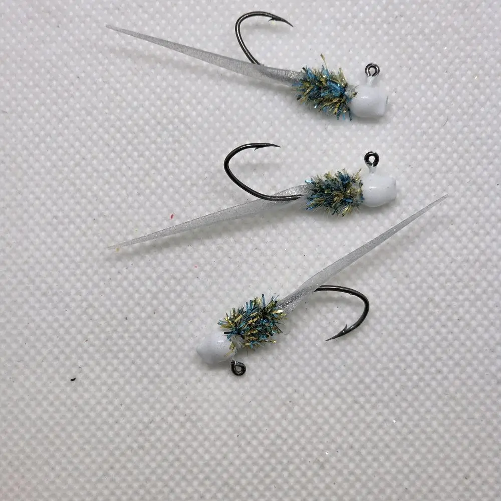 Carolina Minnow