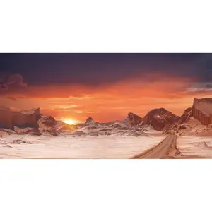 36x18 inches Sun and Desert Terrarium Background Orange Durable Polyester Reptile Habitat Background
