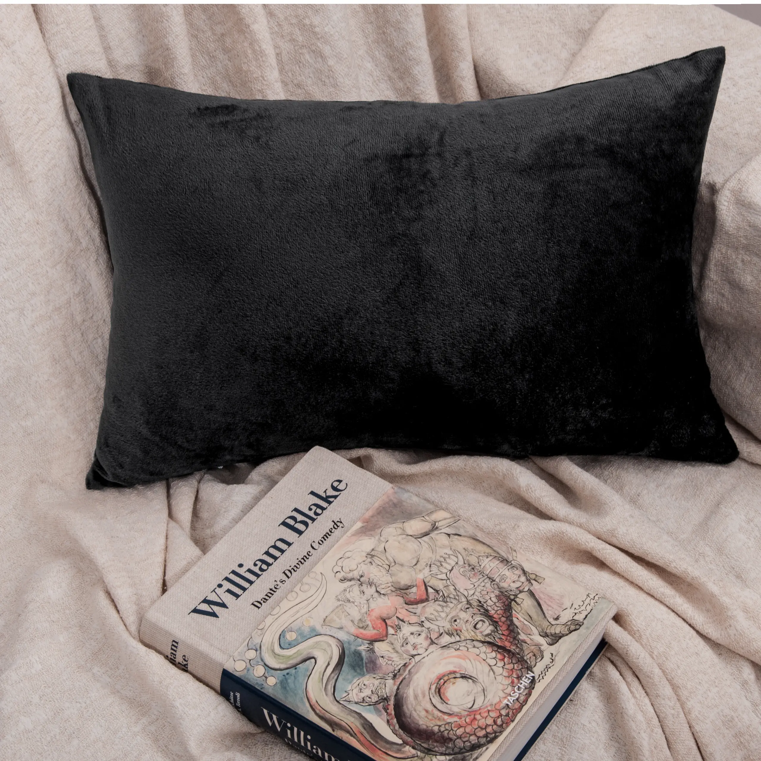 HTA 2Pcs Ultra Soft Velvet Zippered Pillowcases – Cozy Luxury Flannel Feel, Decorative Cushion Covers for Household, Sofa & Couch, Black Friday, Christmas Gift