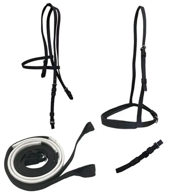 Jacks Ultra Race Bridle Set | Royal Blue Poly Webbing Racing Tack with Loop Reins, Ultra-light & Machine Washable with Safety Tear-Away Feature, Safety Rip, Two Layers