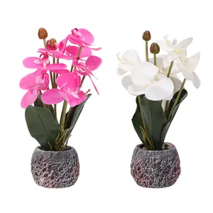 Faux Silk Daisy and Eucalyptus Hanging Arrangement Spring Family Moment 16.5 Inch Pink Fake Orchids Flowers in Pot Artificial Orchid Flowers Potted Plant Phaleanopsis Bonsia Faux Flower Decoration for Home Table Office Arrangement Centerpiece Living Room