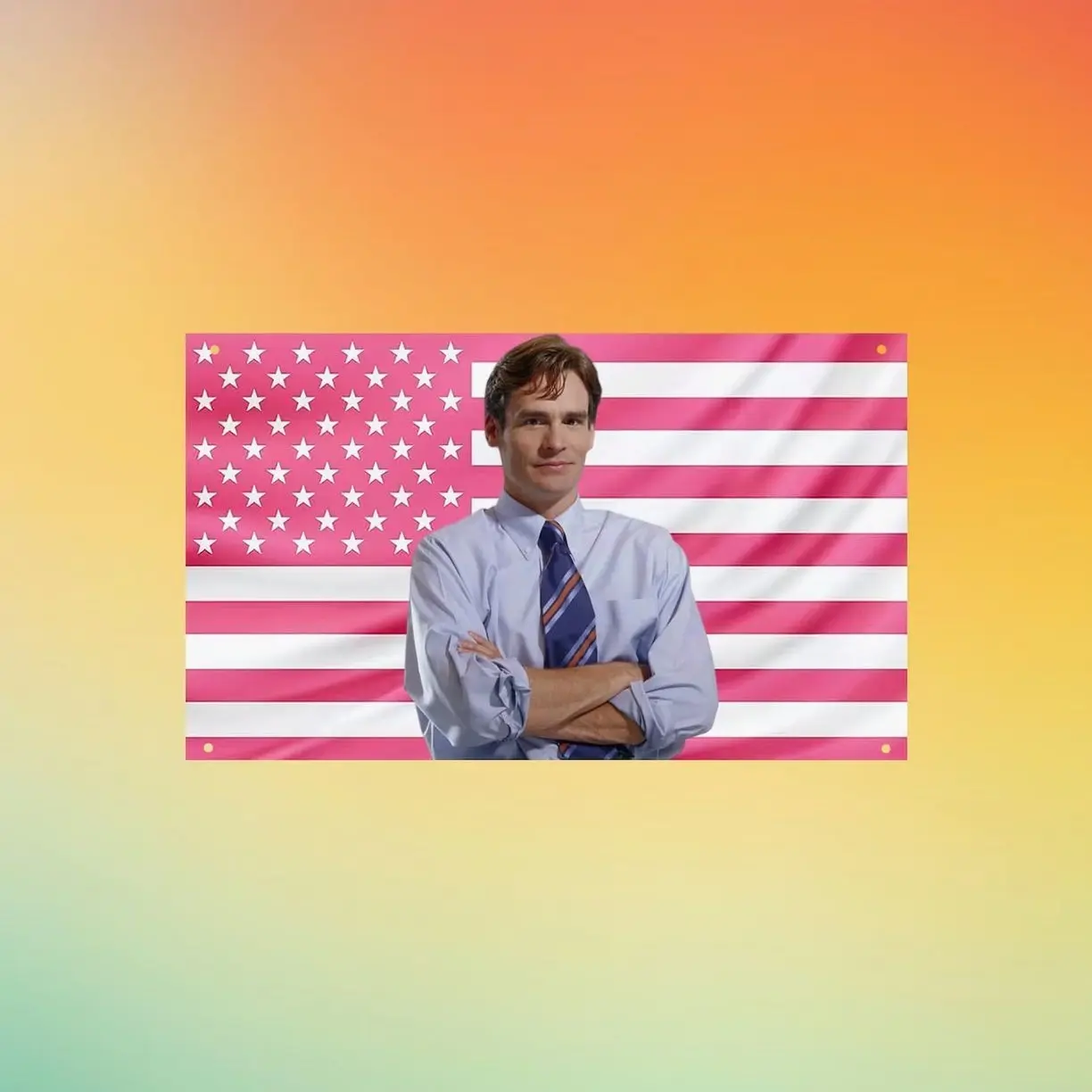 Dr. James Wilson House MD Pink American Flag, Robert Sean Leonard TV Show Wall Tapestry, Medical Drama Room Decor