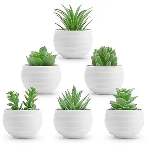 6 Packs Fake Plants Small Realistic Succulents Plants Artificial for Home Room Decor Indoor