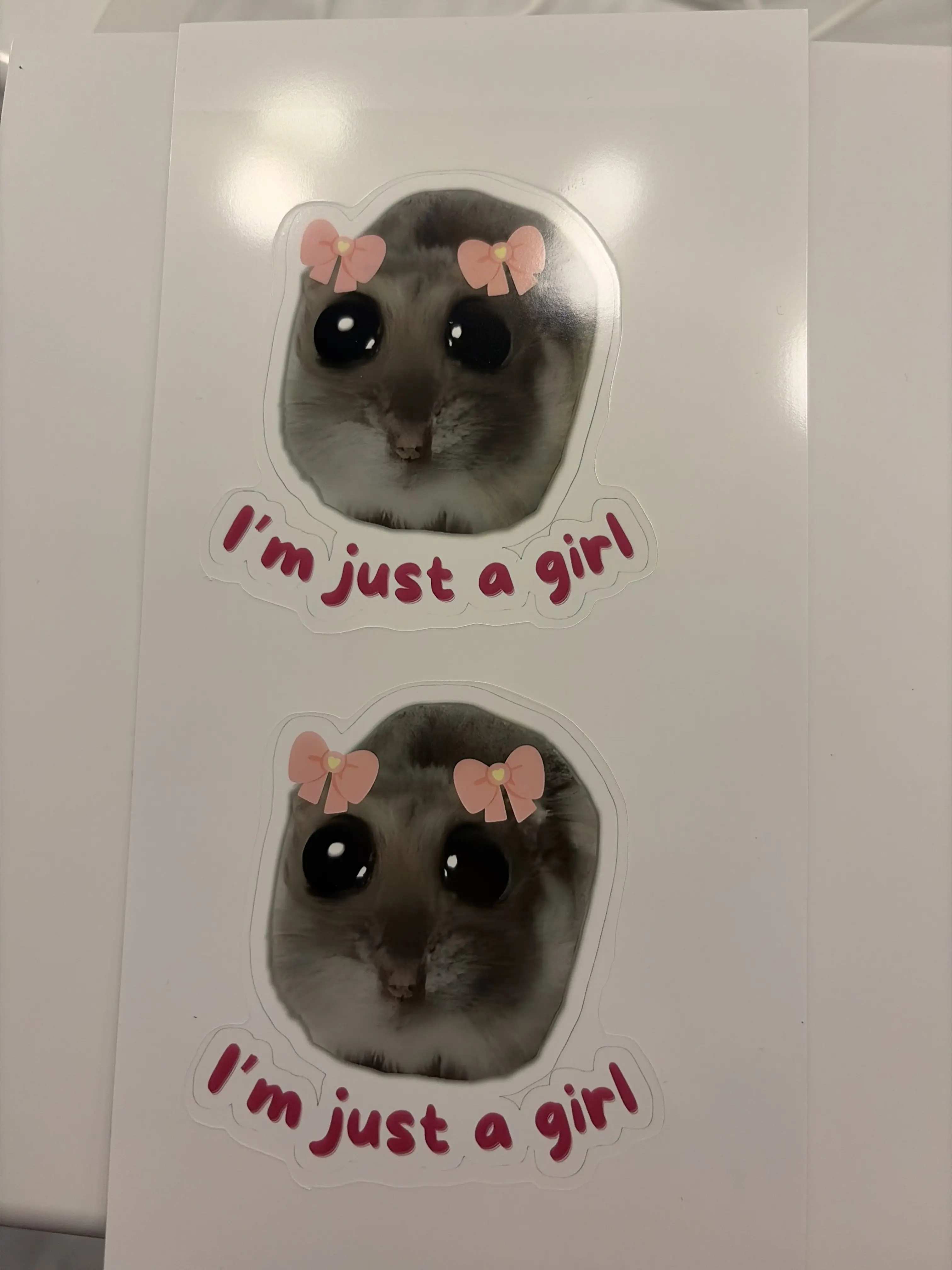 I’m just a girl hamster sticker