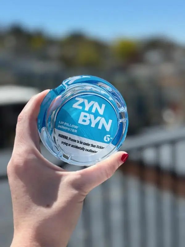 The ZynByn Official Lip Pillow Dumpster - The Perfect Gift for Him or Her to Clean up in Style!!