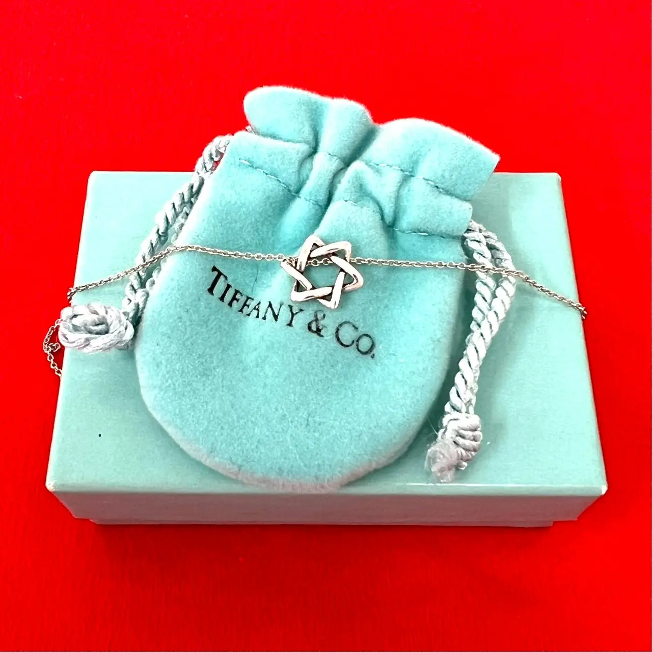 Pre-owned Tiffany & Co. Sterling Silver 925 (Ag925) Small Leather Goods Silver Star of David Necklace