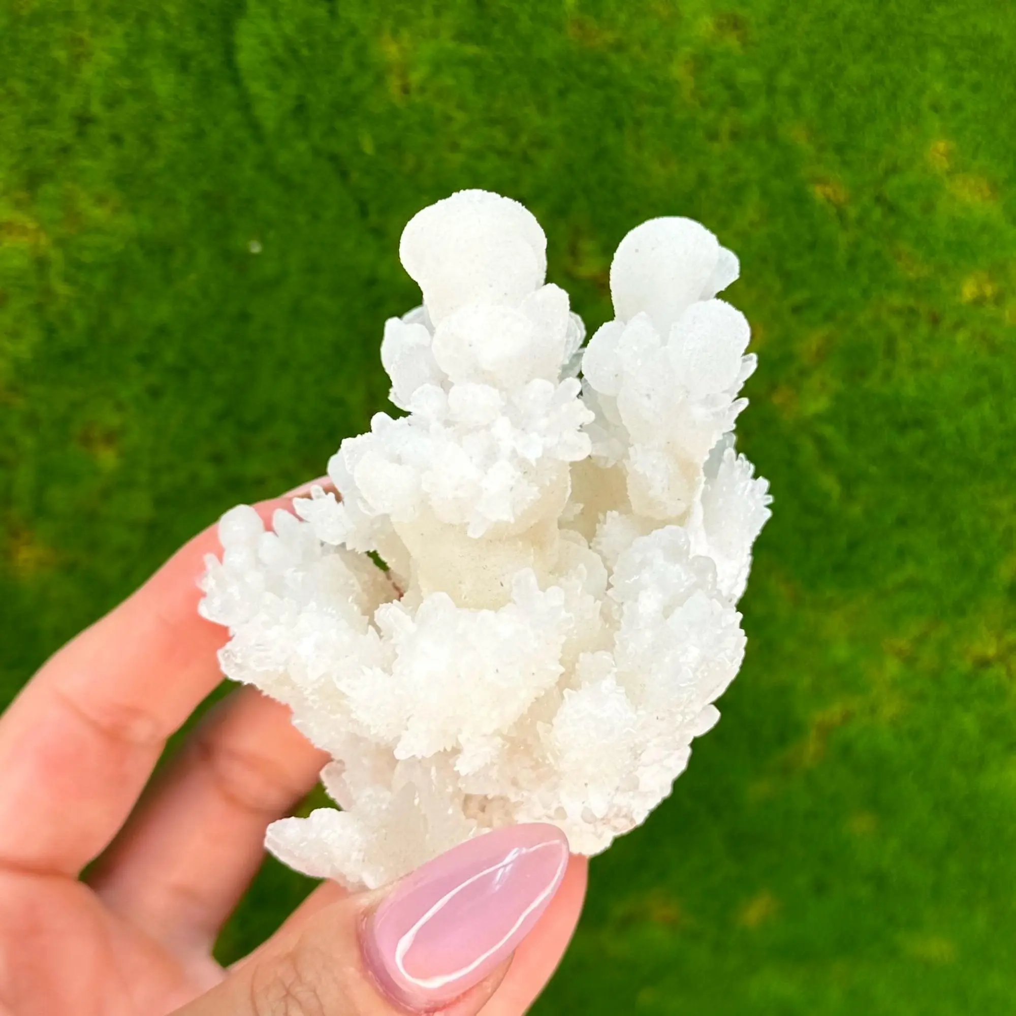 Aragonite Great Quality Specimen, San Salvador Mine, Mexico
