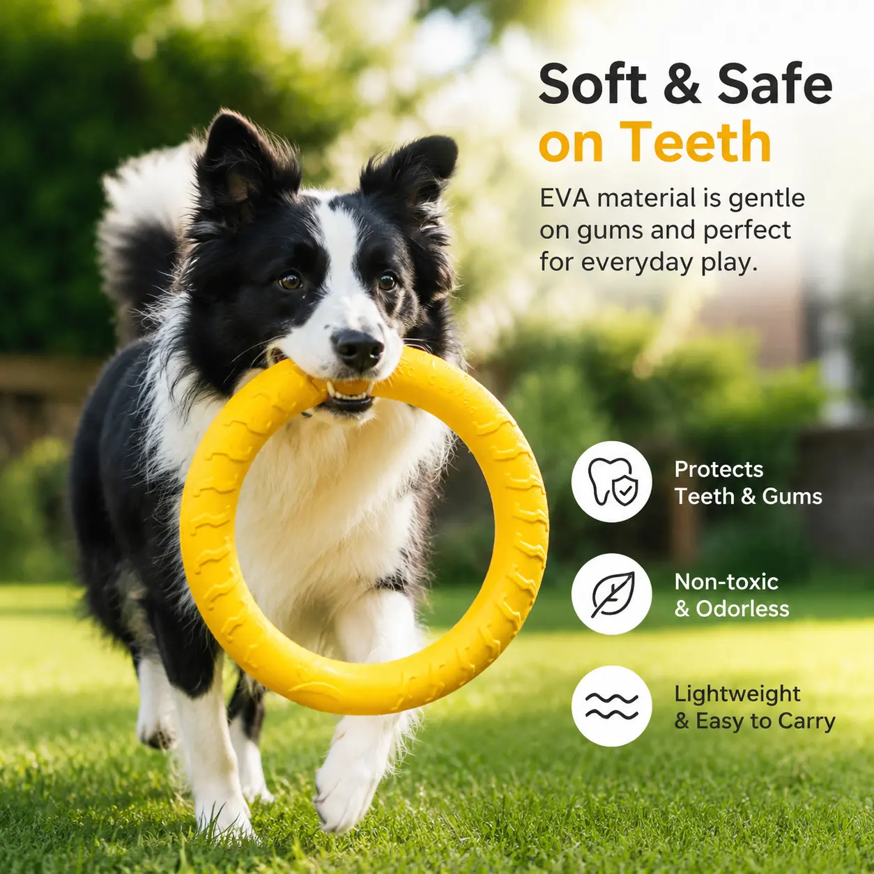 EVA (Ethylene Vinyl Acetate) Foam Circular Dog Flying Ring - 1 Count, Non-Toxic & Odorless, Bite-Safe Chew-Resistant Toy for Regular Play, Outdoor Lawn Water Floating Fun, Protects Teeth & Gums