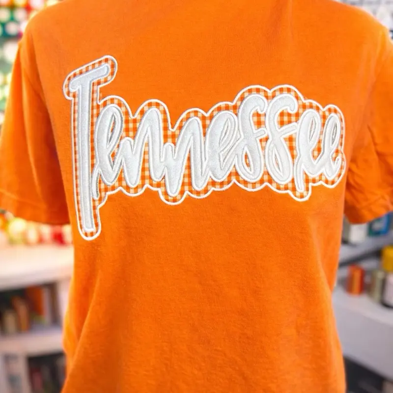 State/Team Embroidered Appliqué Comfort color T-shirt