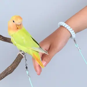 1 Set Ultra-Light And Elastic Outdoor Parrot Flying Rope With Bracelet And Foot Ring for Budgie Peony Cockatiel, Outdoor Birds Leash Retractable Bird Walking Rope Bird Flight Combination set for All Season Harnesses Supplies