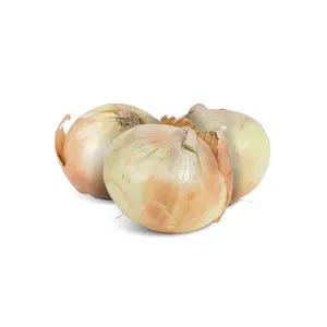 Fresh NuMex Sweet Onions from Hatch, New Mexico – 10lb Box