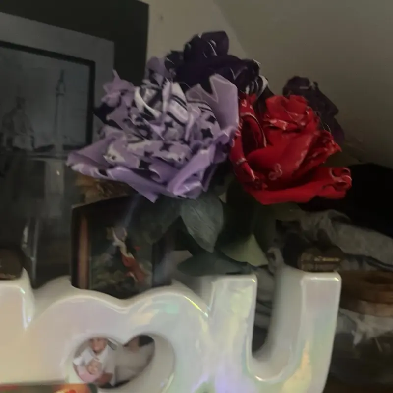 Bandana roses