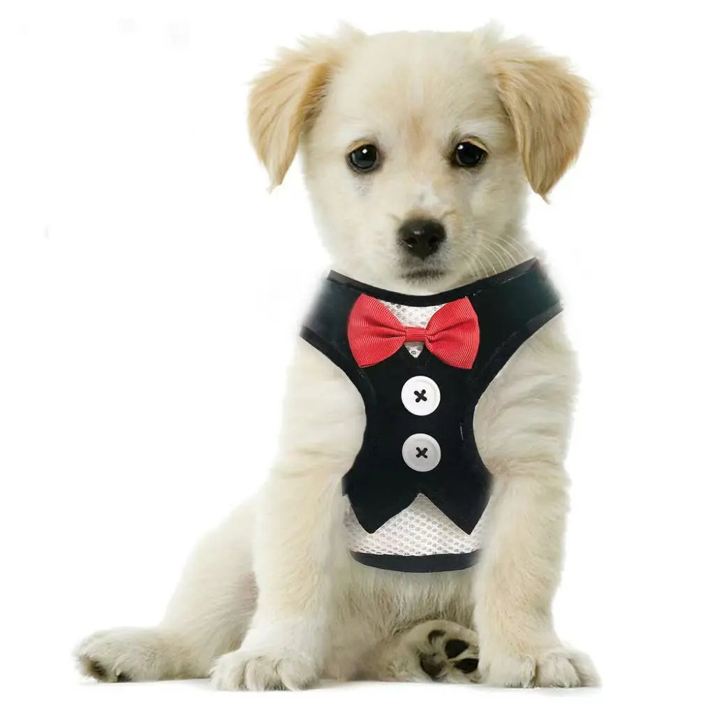 Black Velvet Dog Harness for Small Dogs No Pull Dog Harness, Step-In Adjustable Puppy Harness, Cute Soft Breathable Dog Vest Harness