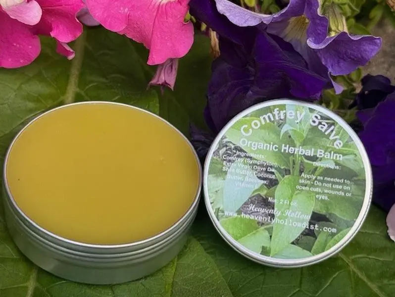 Comfrey Salve Infused Herbal Remedy, Organic Skin Care, All-Natural Herbal Salve, Botanical Skin Care