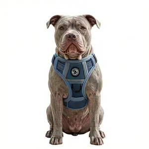 Medium to Large Dog Harness, Breathable Mesh, Durable Anti-Break, Compatible with Any Leash, All-Season Use, Nylon Material