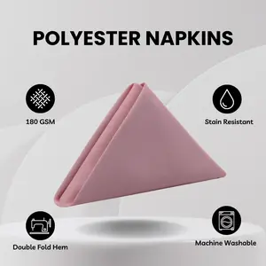 20 Inch Polyester Cloth Napkins Dusty Rose (Pack of 10)