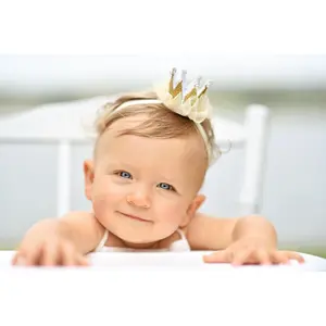 Princess Crown Hair Clip