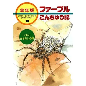 USED-YoÌ„nenban faÌ„buru konchuÌ„ki. 10, Kumo to osamushi no hanashi by Seinosuke Kobayashi (Tankobon Hardcover)