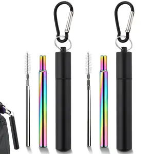 2pc Stainless Steel Straws, 3-In-1 Reusable Telescopic Straw Set, Includes Aluminum Case & Cleaning Brush, Portable, Perfect for Travel & Cruises